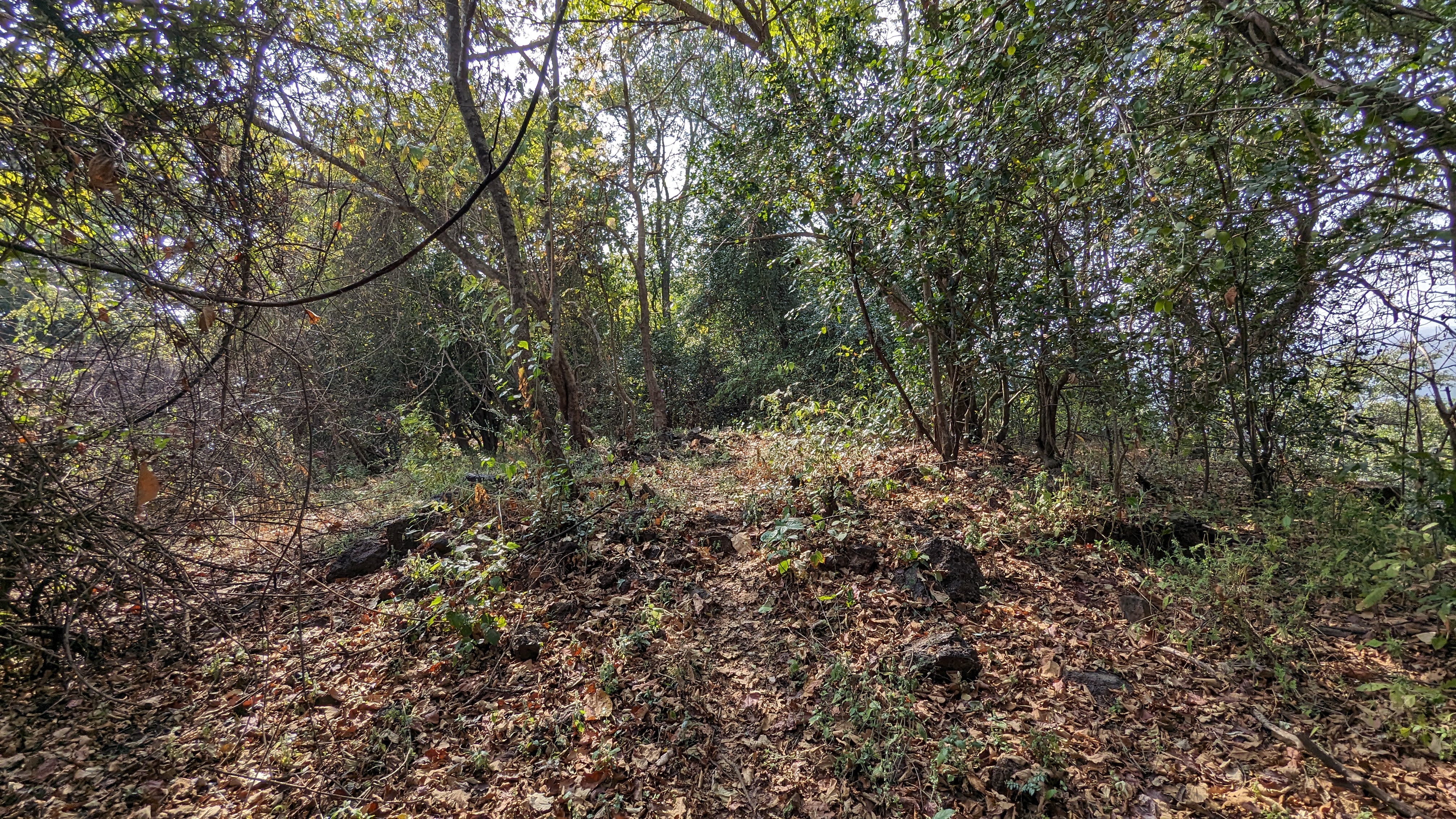 Siddhagad (Malvan)